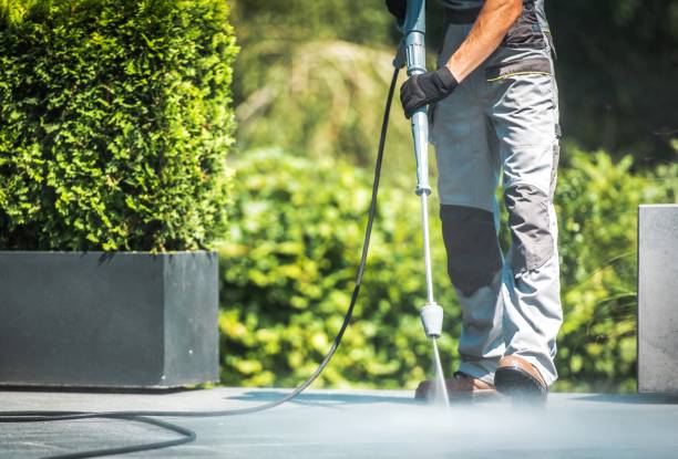 Best Soft Washing  in El Monte, CA